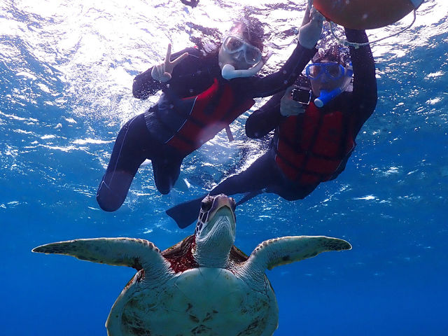 �ɗǕ��}�����c�A�[ One By One