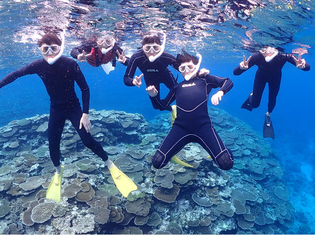 �ɗǕ��}�����c�A�[ One By One