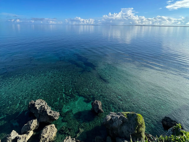 �ɗǕ��}�����c�A�[ One By One