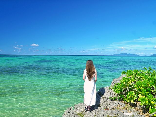 �Ί_���Ńp�E�_�[�X�m�[�̍��l�ł͂̂�т�r�[�`�R�[�~���O�I�L�k��T���Ȃ���A�X��ʂ̌��Ђ��W�߂���A���h�J����Ί_���̕s�v�c�ȐA���Ȃǂ��ώ@���Ȃ���̖`���I_�Ί_���A�h�x���`���[�t�H�g�c�A�[ KIBOU