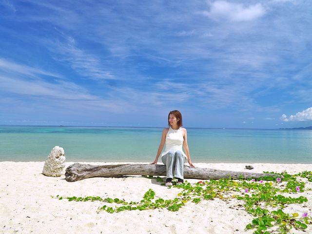 �����ł�����ɓ���Ȃ��Ί_��(^-^;��i���P�[�V�����t�H�g�c�A�[(^-^;�E�Ί_���̑厩�R����j�ɐG�ꍇ������ʃv����_�Ί_���A�h�x���`���[�t�H�g�c�A�[ KIBOU