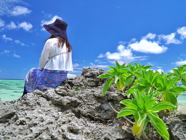 �Ί_�����Ƃ��Ƃ�m��s�������l���ē�����{�C�̐Ί_���������\���Ă��������I�I_�Ί_���A�h�x���`���[�t�H�g�c�A�[ KIBOU