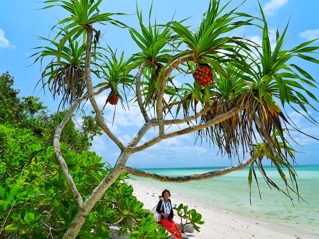 �Ί_���A�h�x���`���[�t�H�g�c�A�[ KIBOU�̎ʐ^1