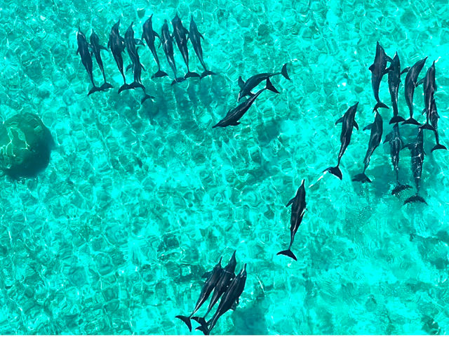 ��Ղ̈ꖇ
_385.tour