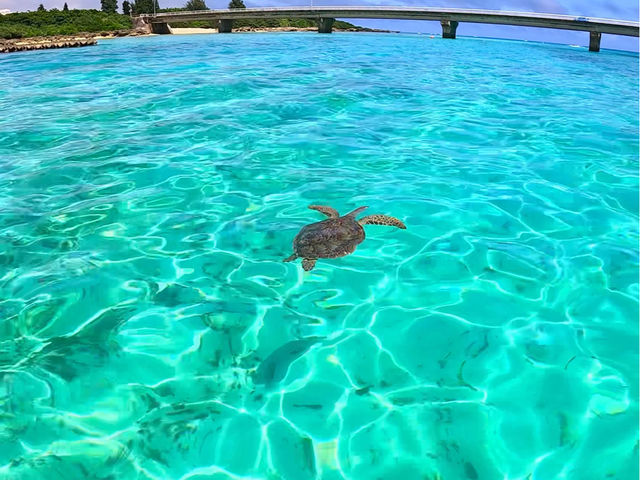 �C�T����񍂊m���ŉ�܂�_385.tour