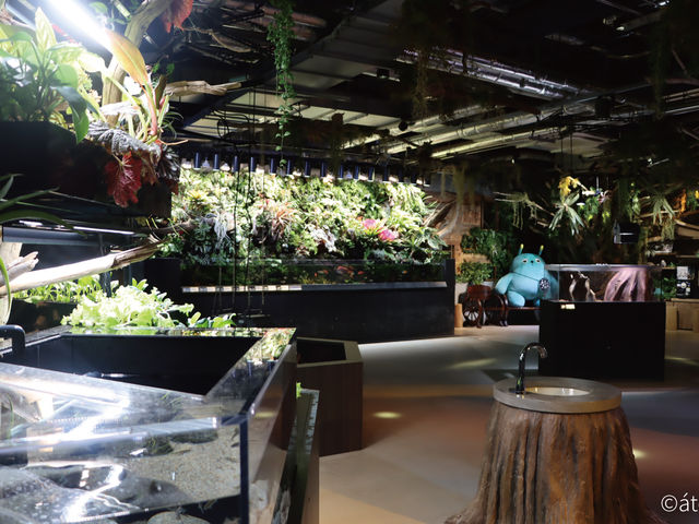 ��2026�N7�����j���[�A���u2�K ELEMENTS�v_AQUARIUM�~ART atoa
