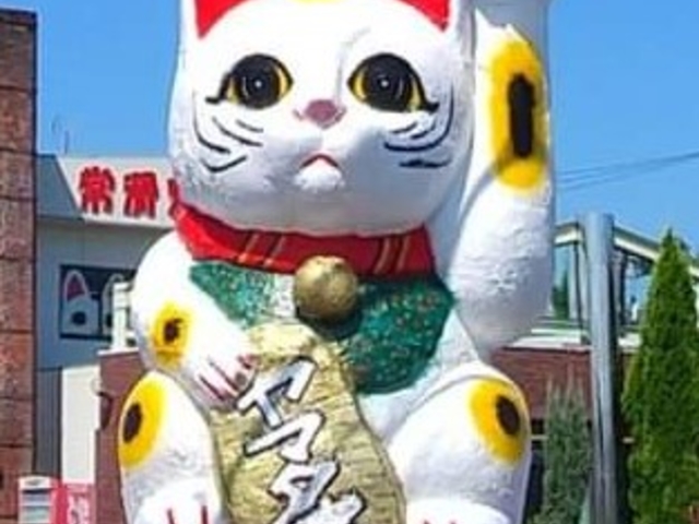 �y�܂��̉w�@�튊�ă��}�^�l�z���}�^�l�̃V���{���@���叵���L�@���q�l����������グ�ł��B�n�ォ��͍����U���ł��B�튊�̓��ē��̖ڈ�ł��B_�܂��̉w �튊�ă��}�^�l