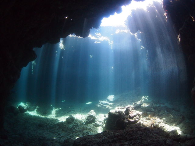 ���̃V�����[�𗁂т�_�_�C�r���O�V���b�v �u���[�X�y�[�X