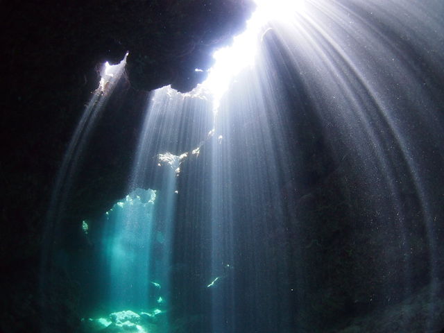 ���̃J�[�e����_�_�C�r���O�V���b�v �u���[�X�y�[�X