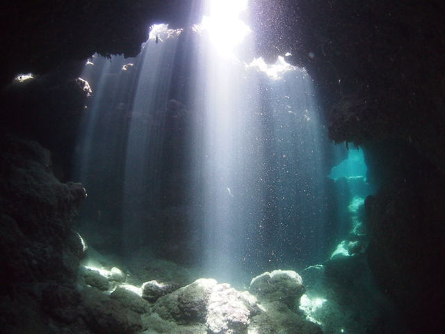 �_�X�����I_�_�C�r���O�V���b�v �u���[�X�y�[�X