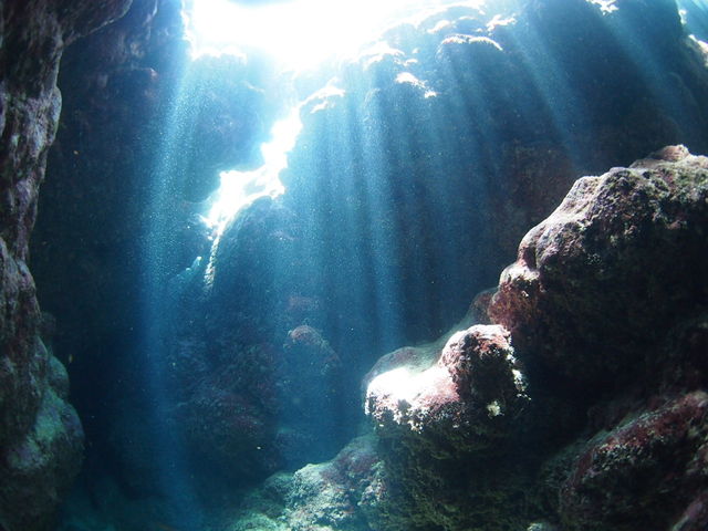 ����P���n�`�I_�_�C�r���O�V���b�v �u���[�X�y�[�X