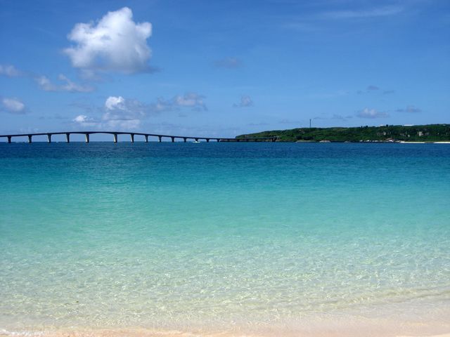 �ǂ��܂ł������G�������h�O���[��_�_�C�r���O�V���b�v �u���[�X�y�[�X