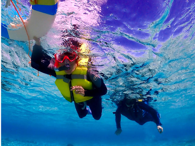 �����x���Q�I�I�j���Ɏ��M���Ȃ��Ă�
�o�^�����烌�N�`���[�􃉃C�t�W���P�b�g�������ւ�����̂ň��S���S�ł��I_SEA FAN