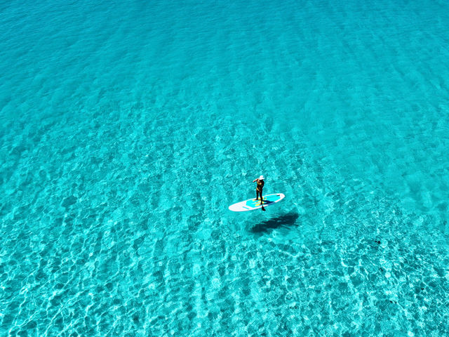 �{�Ó��}���� SUGAR3