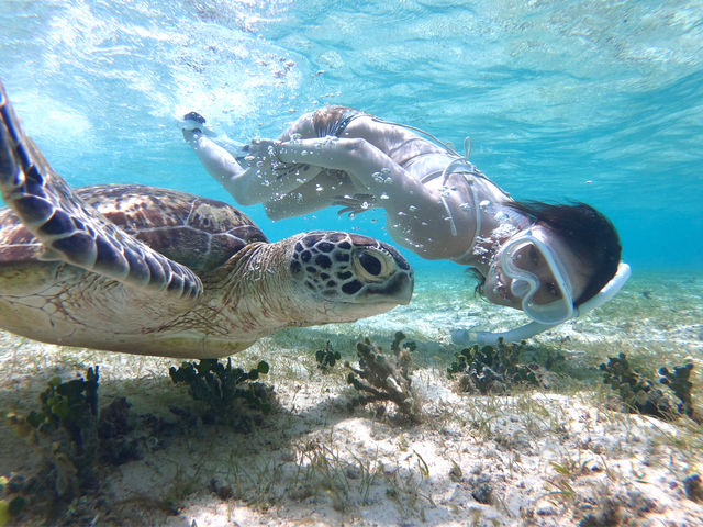 �{�Ó��}���� SUGAR3