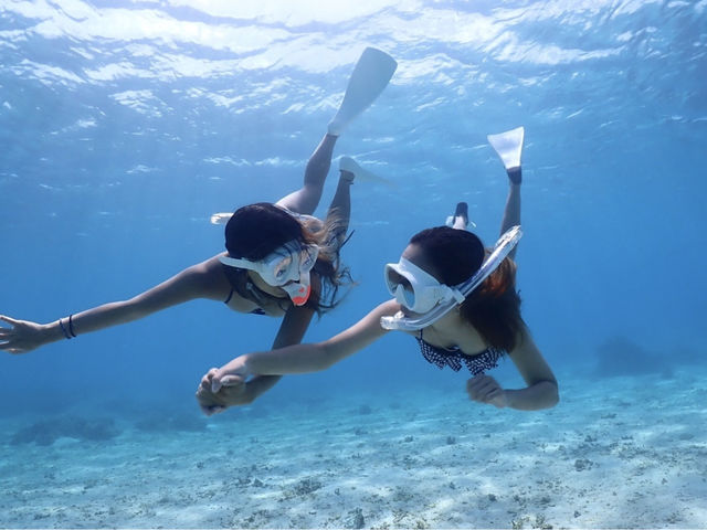 �{�Ó��}���� SUGAR3