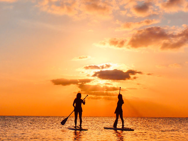 �{�Ó��}���� SUGAR3