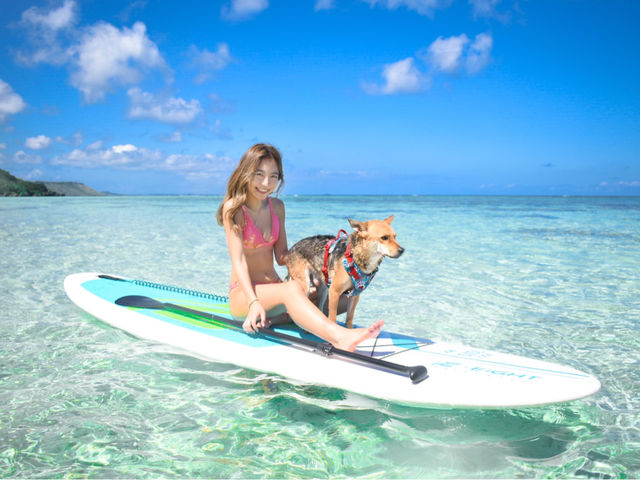 �{�Ó��}���� SUGAR3