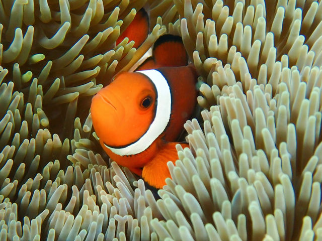 �{�Ó��}���� SUGAR3