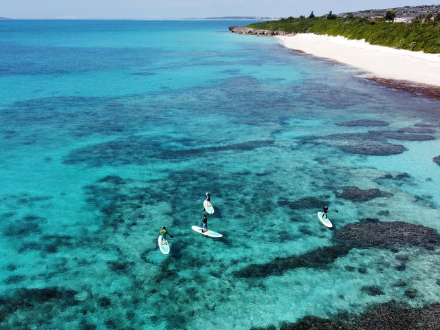 �{�Ó��}���� SUGAR3