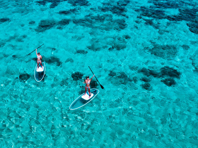 �{�Ó��}���� SUGAR3