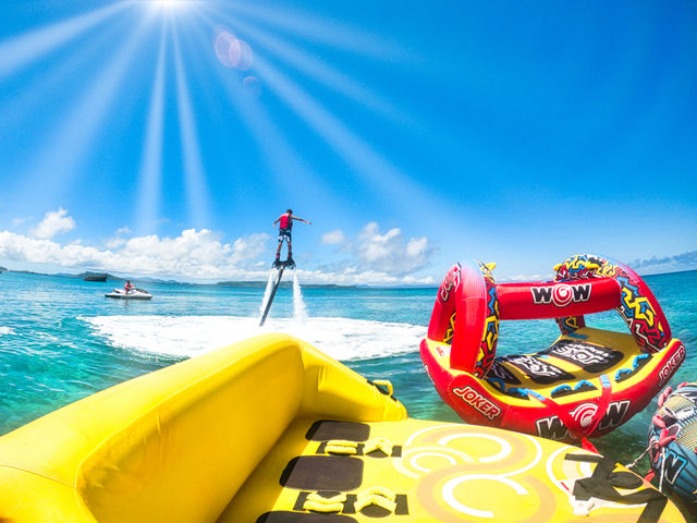 �t���C�{�[�h�ɒ���I_�n�j�[���C�}����