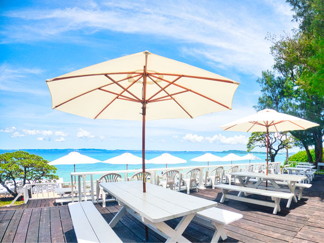 �Ì����E�b�h�f�b�L_�n�j�[���C�}����