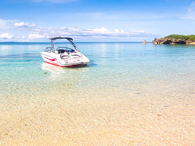 �W�F�b�g�{�[�g�Ŗ��l��_�n�j�[���C�}����