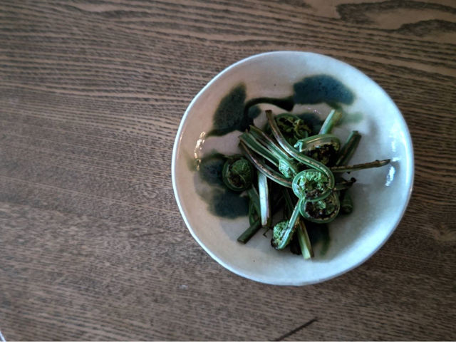 ����̊�ƋG�߂̖�؁B_���[�y��