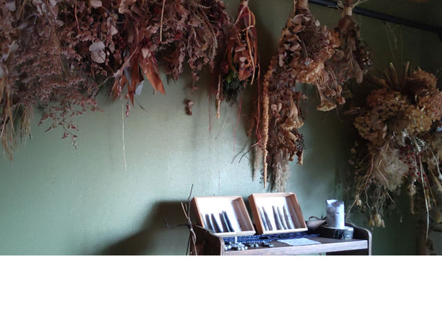 �A�g���G���̓h���C�t�����[�ƌÉƋ�A�Ó�����o�}��_�X�C��Ajito