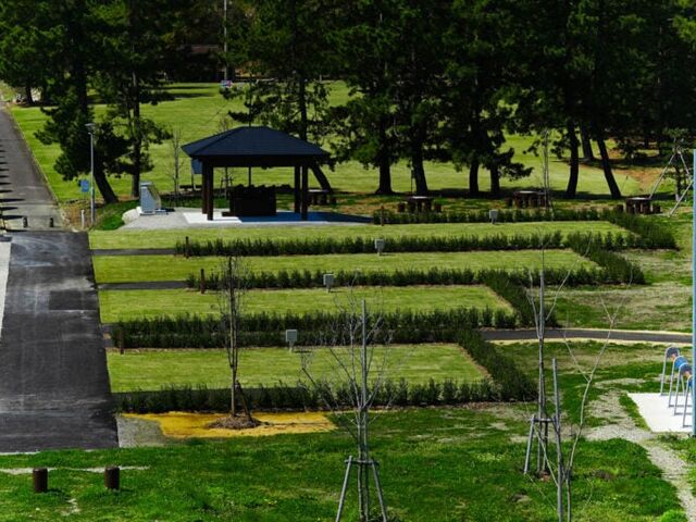 ����C�l�����L�����v��