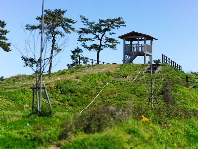 ����C�l�����L�����v��