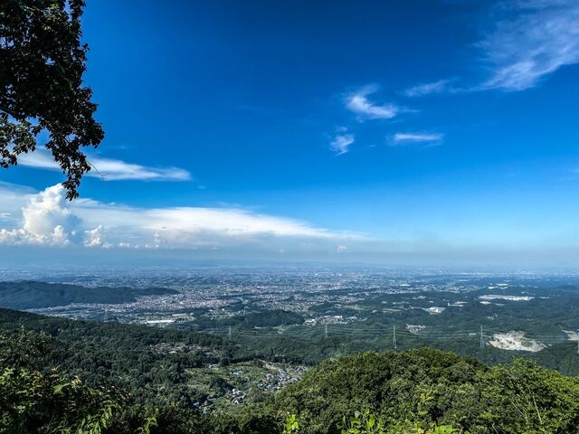 �c��R�̓W�]_�c��R�W�]��