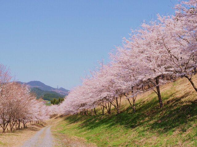 �ՎR�̐�{��_�ՎR�̐�{��