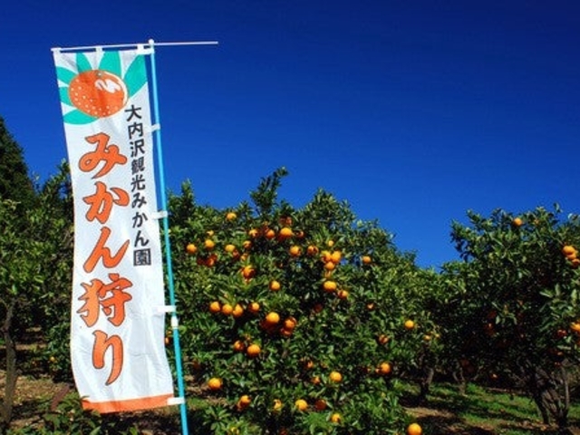 �����ό��݂���_���̎ʐ^1