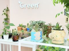 Green�̎ʐ^1