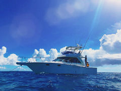 �T���G�C�g�r�ԓ��̎ʐ^1