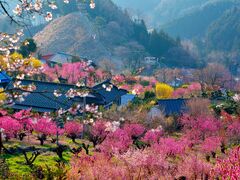 �����ԓ��̋��̎ʐ^1