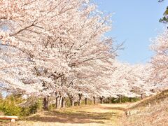 �ՎR�̐�{���̎ʐ^1