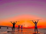 Blue Turtle Ocean Sports̎ʐ^4