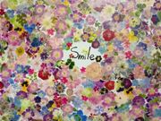 A[gXy[X tOhana̎ʐ^4