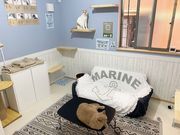 ^LJtF ɂ񂲂̎ʐ^4