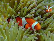 ɗǕ}cA[ One By One̎ʐ^3