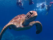 ɗǕ}cA[ One By One̎ʐ^4