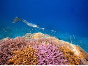 Onebreath Irabu̎ʐ^2