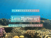 Lana Marine m'sの写真1