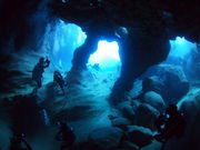 _CrOVbv u[Xy[X̎ʐ^2