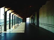 ��������L��̎ʐ^3