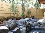 �C�����򑍓� ���R�̓��̎ʐ^3