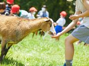 �ʂ̍��ӂꂠ���q��̎ʐ^2